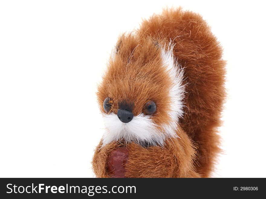 Cute plushy squirrel in front of a white background.