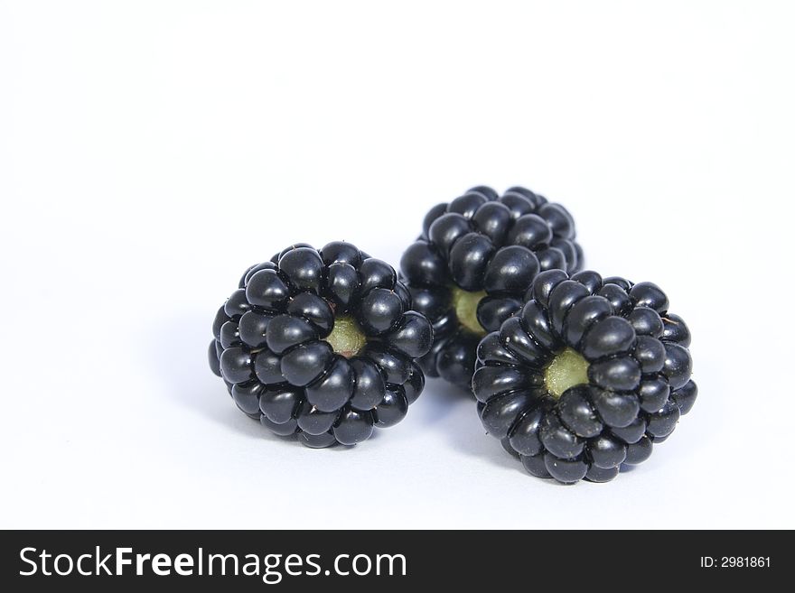 Three blackberries against a white background.