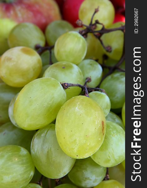 Grapes - Macro Photo