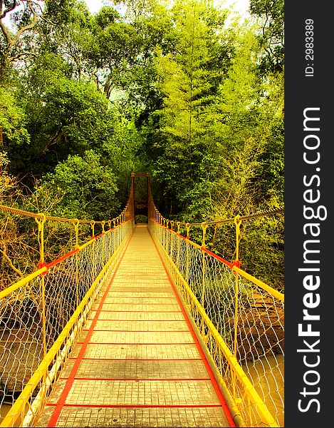 Hanging bridge leading to a dense green bamboo forest in India. Hanging bridge leading to a dense green bamboo forest in India