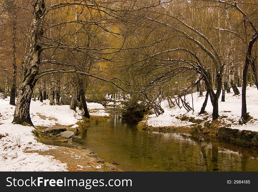 Nice place with river and trees. Nice place with river and trees.