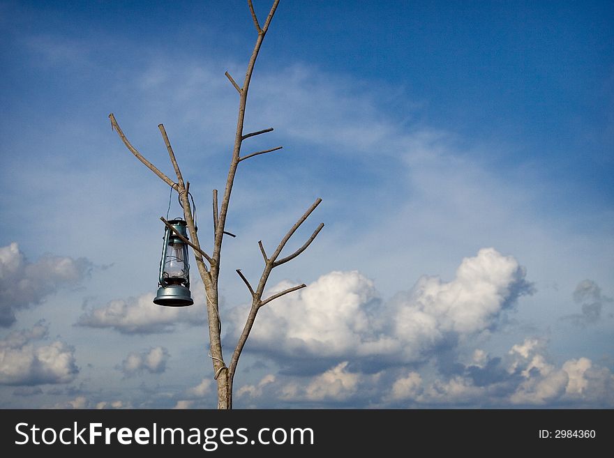 A hanging lamp on a dead tree branch.