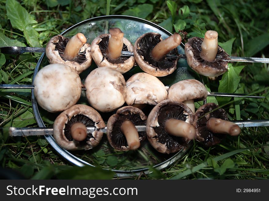 The fresh mushroom on skewers at summer