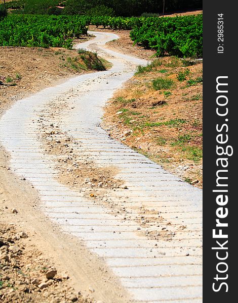 A sinuous path through the vines in france. A sinuous path through the vines in france