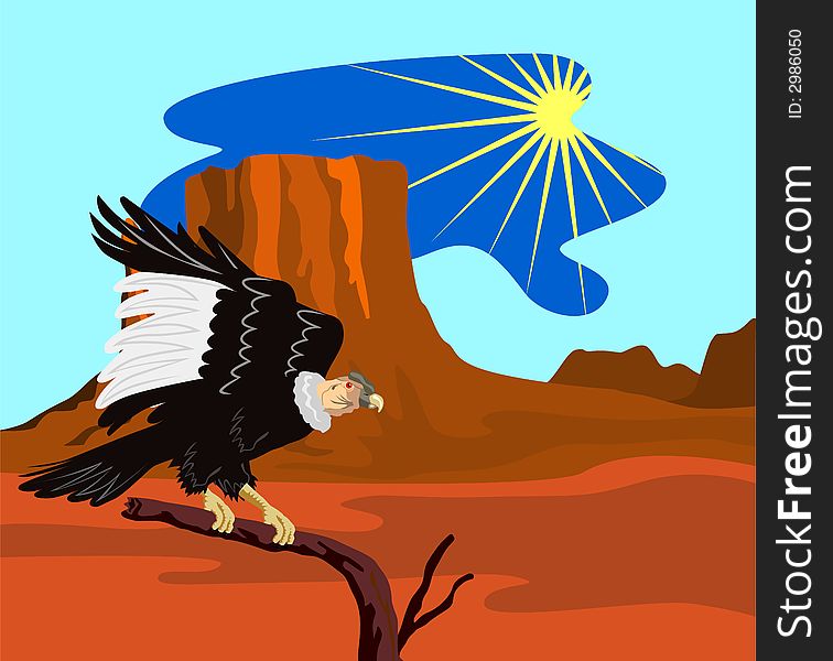 Vector art of an andean condor. Vector art of an andean condor