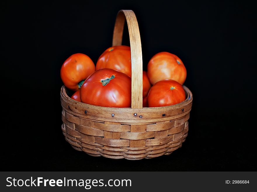 A basket full of home grown tomatoes against black background. A basket full of home grown tomatoes against black background