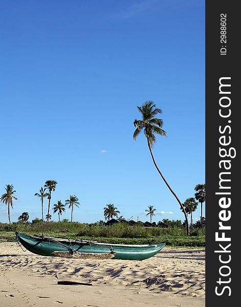 Boat And Palm Trees