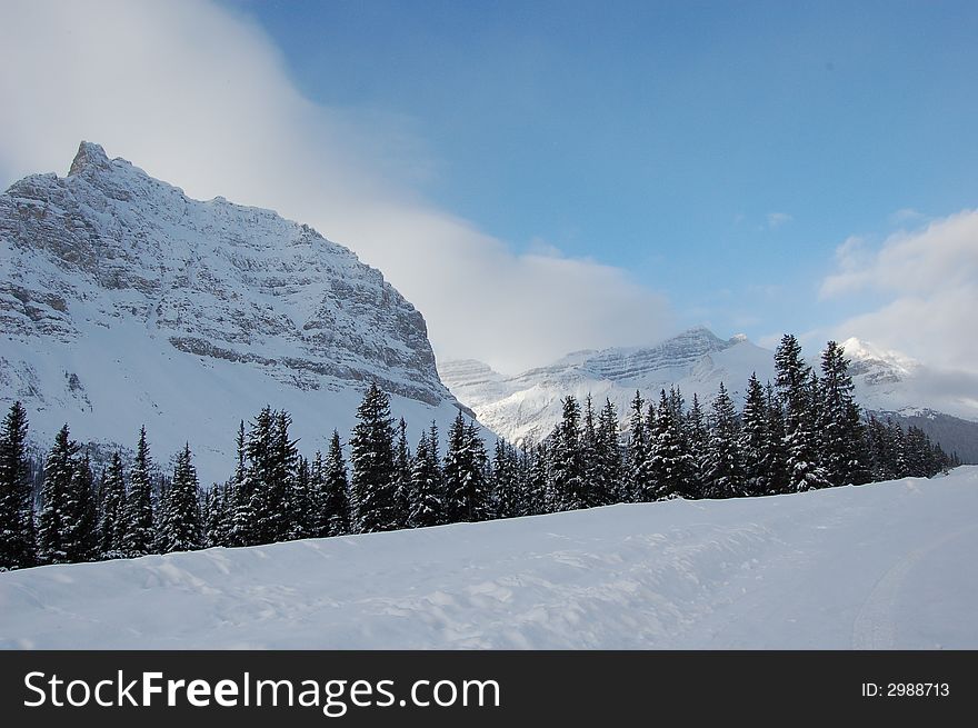 The Rocky Mountains, Alberta Canada. The Rocky Mountains, Alberta Canada