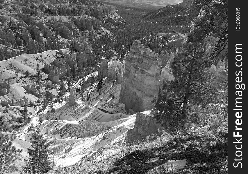 The Bryce Canyon National Park in Utah USA, in black and white