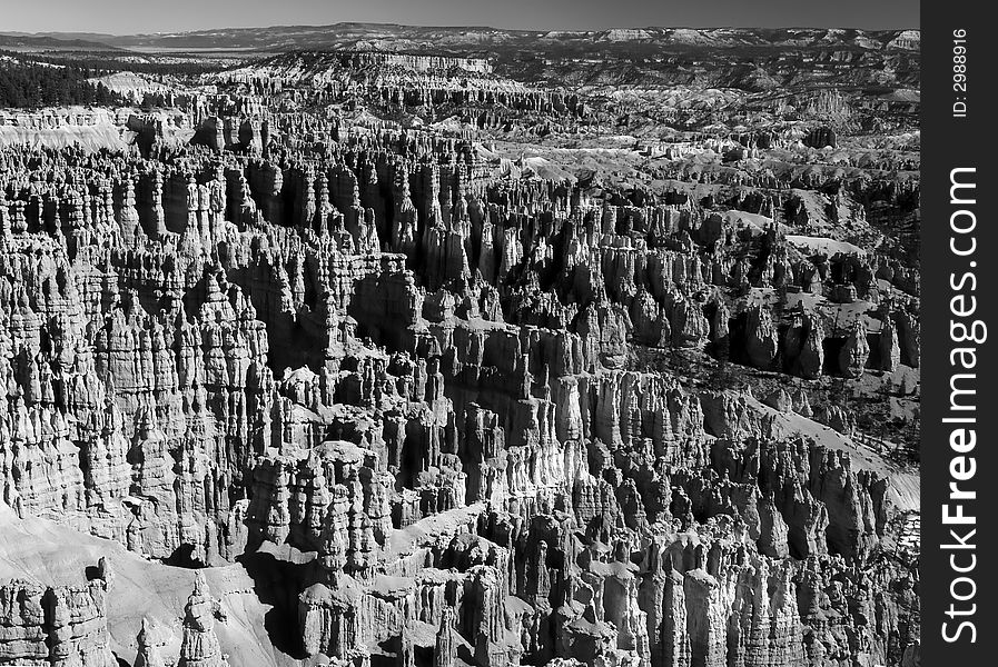 The Bryce Canyon National Park in Utah USA, in black and white