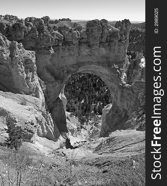 The Bryce Canyon National Park in Utah USA, in black and white