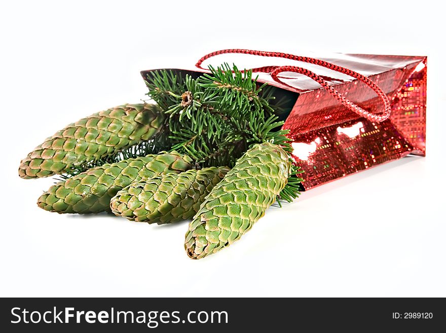 Christmas souvenir-fur-tree branch with cones in celebratory packing