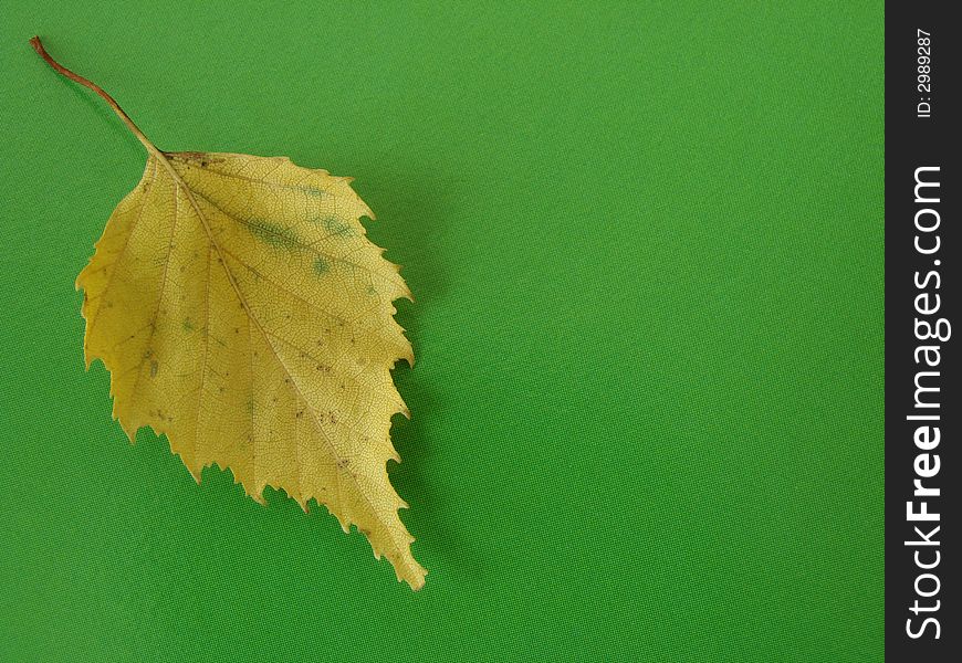 Lonely yellow leaf on the green background. Lonely yellow leaf on the green background