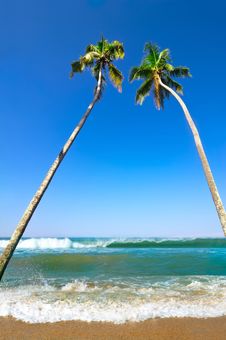 Beautiful Tropical Landscape With Ocean Beach Stock Photography