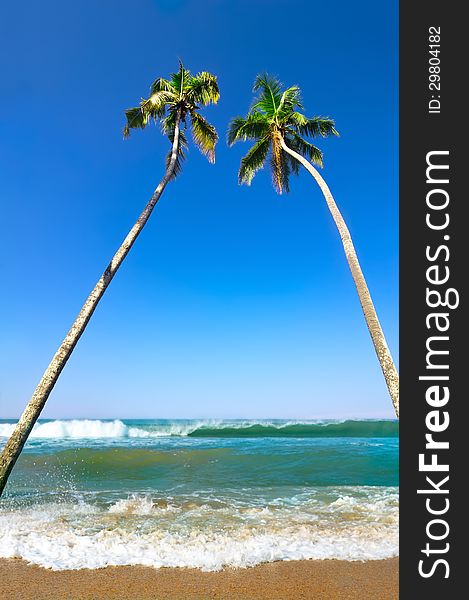 Beautiful tropical landscape with ocean beach and palm trees under blue sky