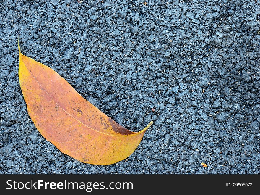 Single brown leaf with asphalt texture background. Single brown leaf with asphalt texture background