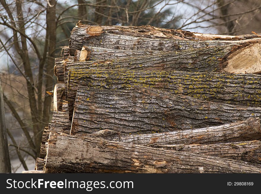 Close up of pile of logs