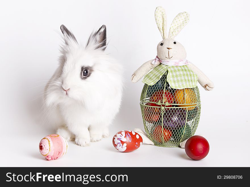 Little white rabbit beside bowl with Easter eggs