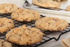 Peanut Butter Cookies Closeup Stock Photos Peanut Butter Cookies Closeup Stock Photos