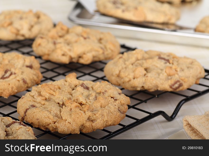 Peanut Butter Cookies Closeup