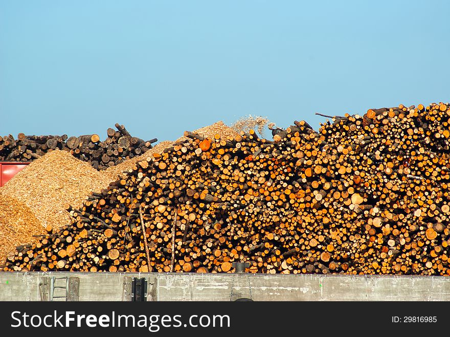 Stack Of Dried Fire Wood Logs