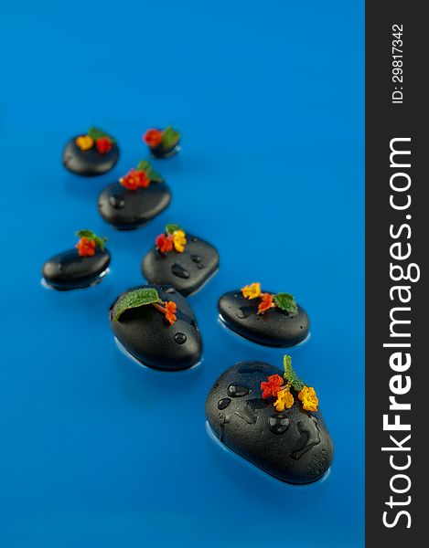 Smooth black pebbles in the water, covered with flowers, photographed against a blue background Small depth of field. Smooth black pebbles in the water, covered with flowers, photographed against a blue background Small depth of field