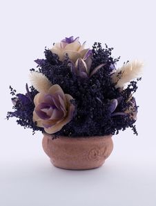 Vase With Dry Flowers Stock Photos
