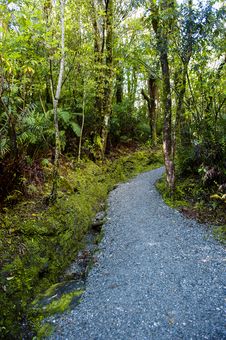 Hiking Path Stock Image Hiking Path Stock Image