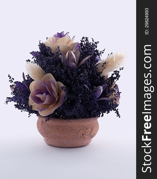 Vase with dry flowers on white