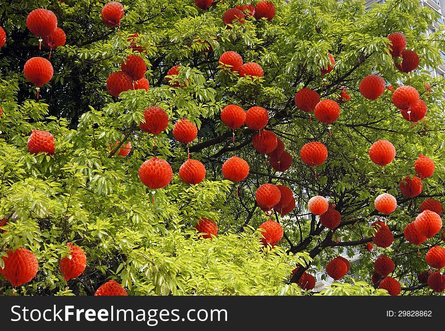 The red paper lanterns hanging on green trees. The red paper lanterns hanging on green trees.