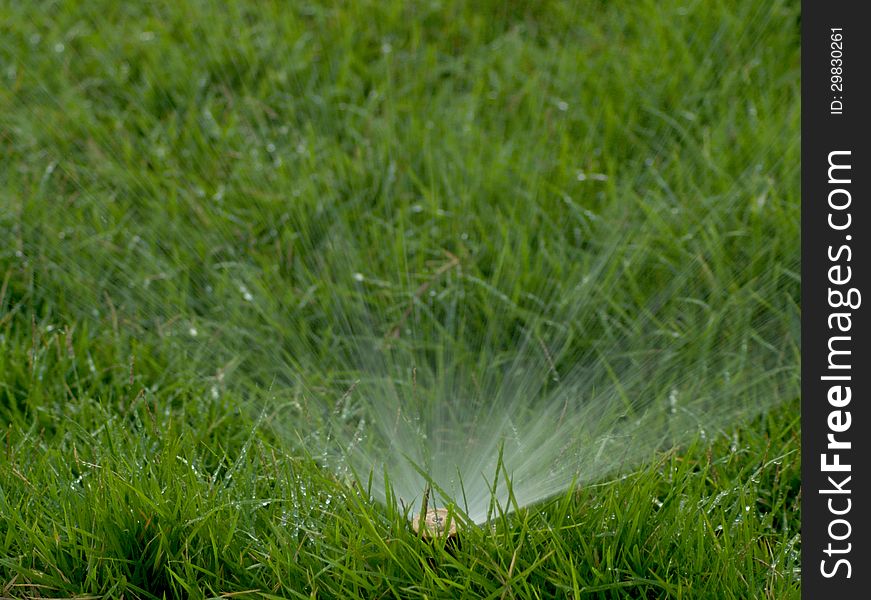 Water sprinkler showering on grass field