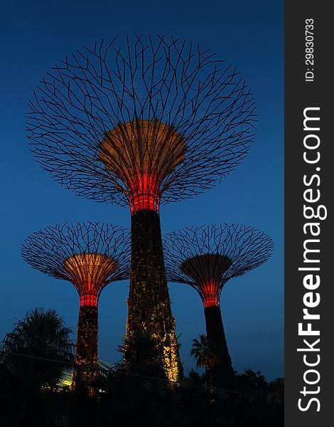 Supertrees on Garden by The Bay Singapore. Supertrees on Garden by The Bay Singapore