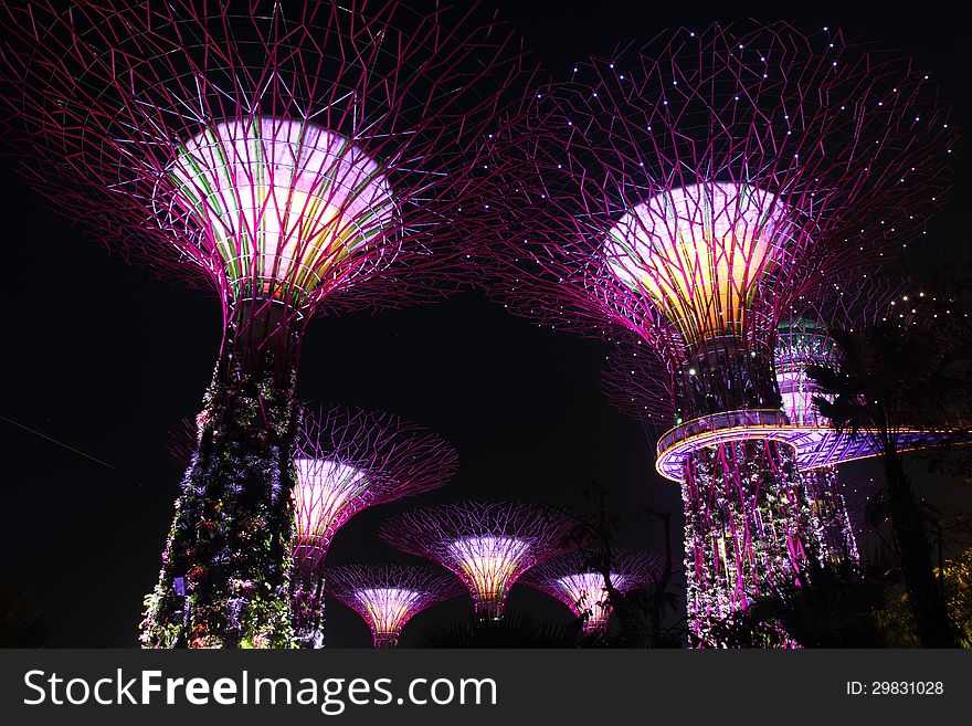 Supertrees on Garden by The Bay Singapore. Supertrees on Garden by The Bay Singapore