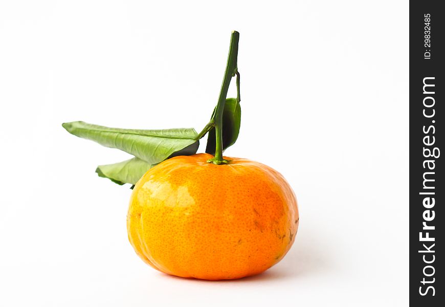 Orange fruit on white background