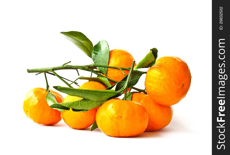 Orange fruit on white background