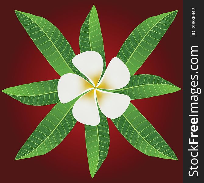 Ornament Of Frangipani Flowers & Leaves. This is file of EPS8 format.