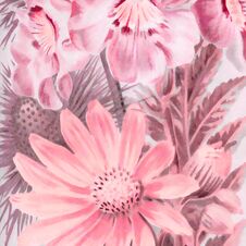 Pink-toned Square Floral Art, Digitally Created, With A Lovely Textured Background. Perfect For Adding A Touch Of Creativity To Yo Royalty Free Stock Images Pink-toned Square Floral Art, Digitally Created, With A Lovely Textured Background. Perfect For Adding A Touch Of Creativity To Yo Royalty Free Stock Images