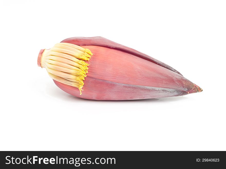 Banana flower isolated on white background