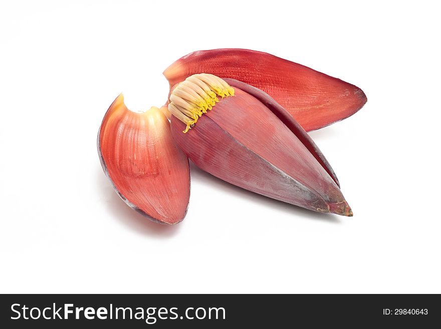 Banana flower isolated on white background