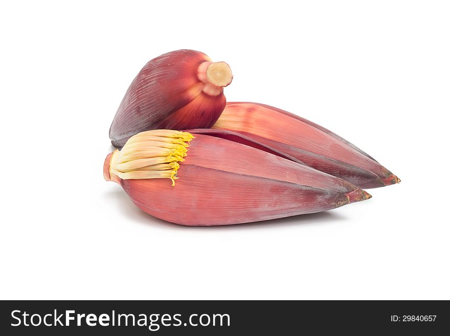 Banana flower isolated on white background