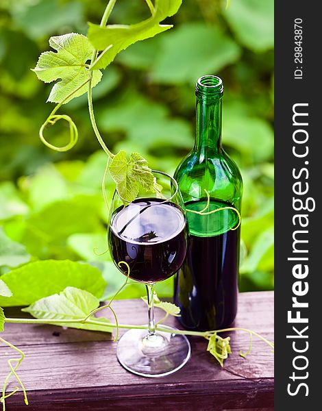 Bottle and glass with red wine in vineyard.