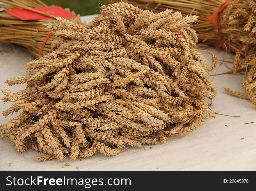 A Prize Winning Display of Harvested Wheat.