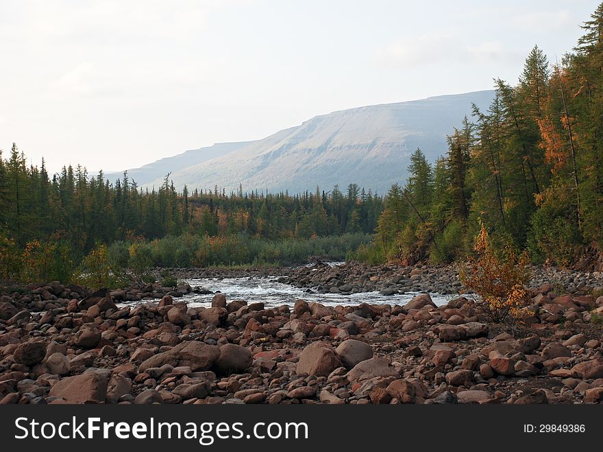 The end of summer gives fancy paint Taimyr tundra. The end of summer gives fancy paint Taimyr tundra.