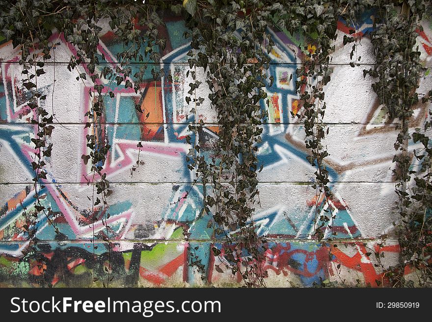 Graffiti-covered wall with ivy