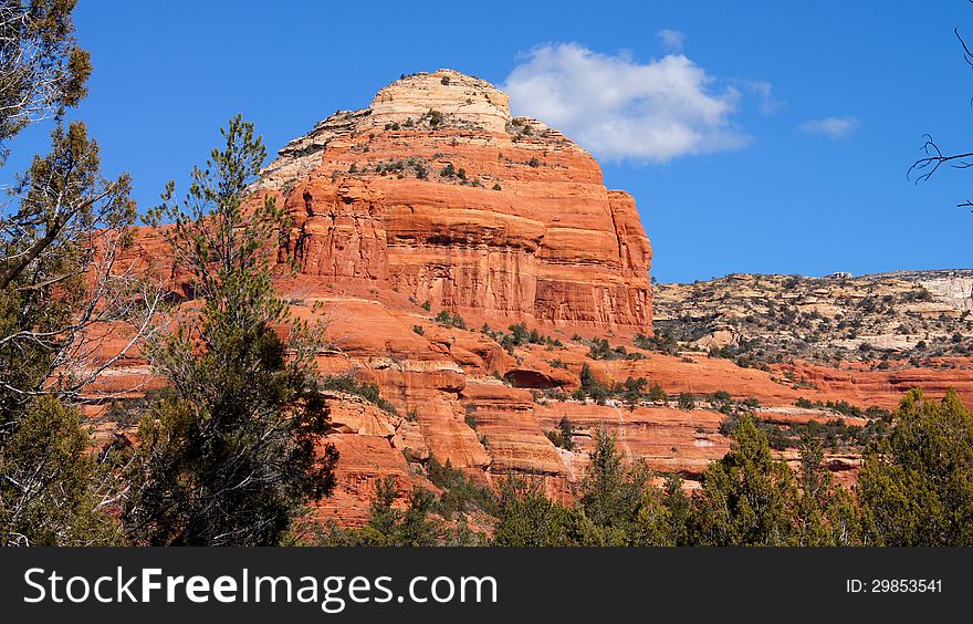 Arizona Mountain Scenery With Tree