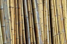 Bamboo Wall Royalty Free Stock Image