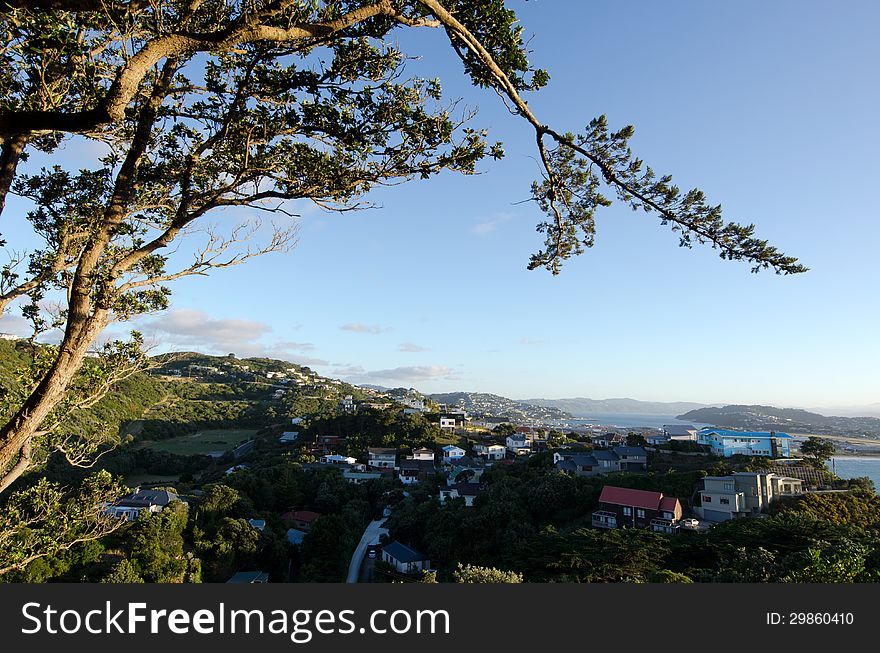 Aerial view of Wellington, New Zealand during sunrise. Aerial view of Wellington, New Zealand during sunrise.