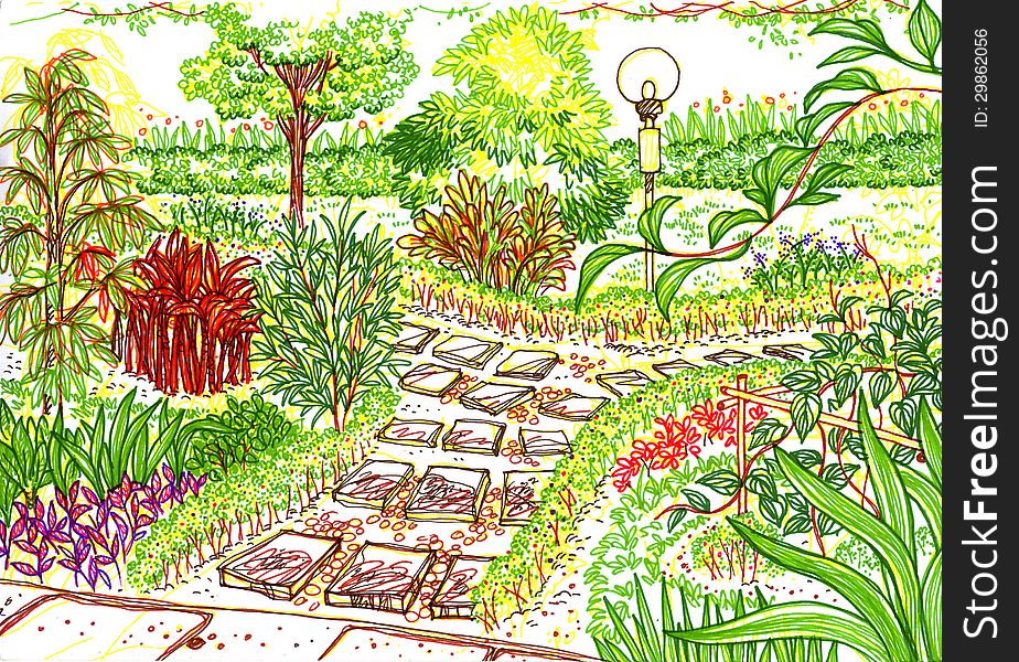 Garden Sketch - Free Stock Images & Photos - 29862056 | StockFreeImages.com