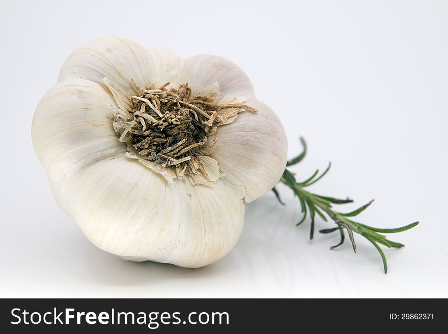 Garlic against white background.