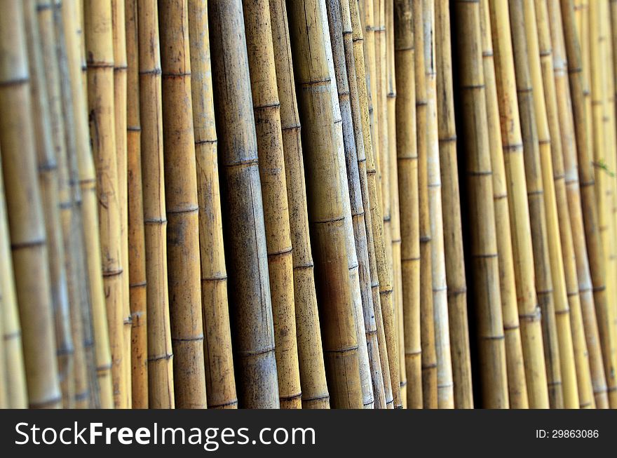 A fence wall made from a bamboo. A fence wall made from a bamboo.